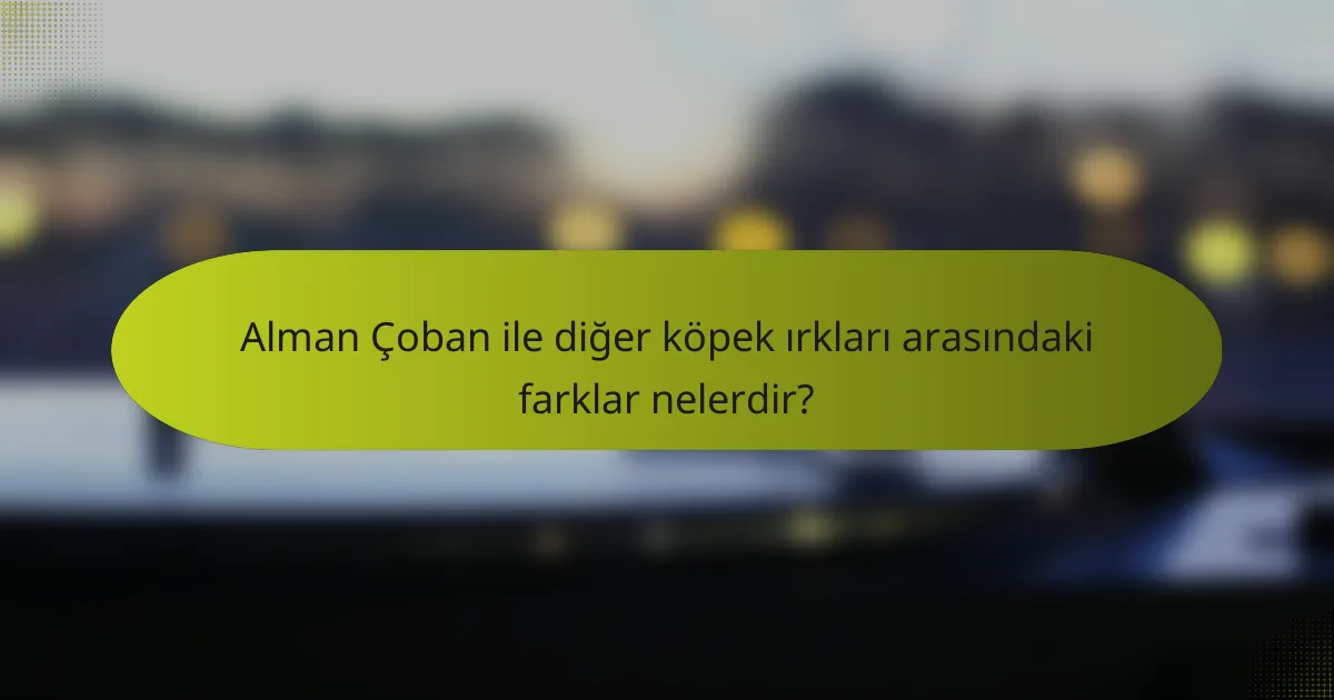 Alman Çoban ile diğer köpek ırkları arasındaki farklar nelerdir?
