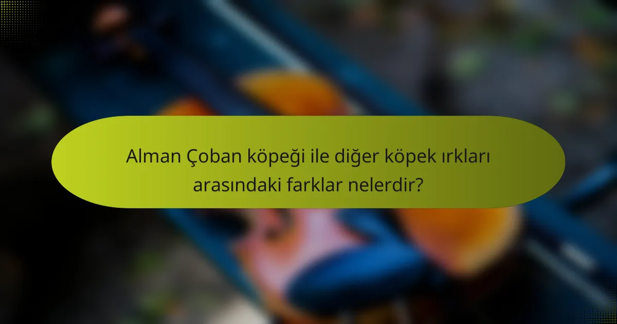 Alman Çoban köpeği ile diğer köpek ırkları arasındaki farklar nelerdir?