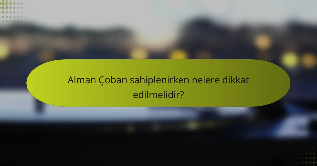 Alman Çoban sahiplenirken nelere dikkat edilmelidir?