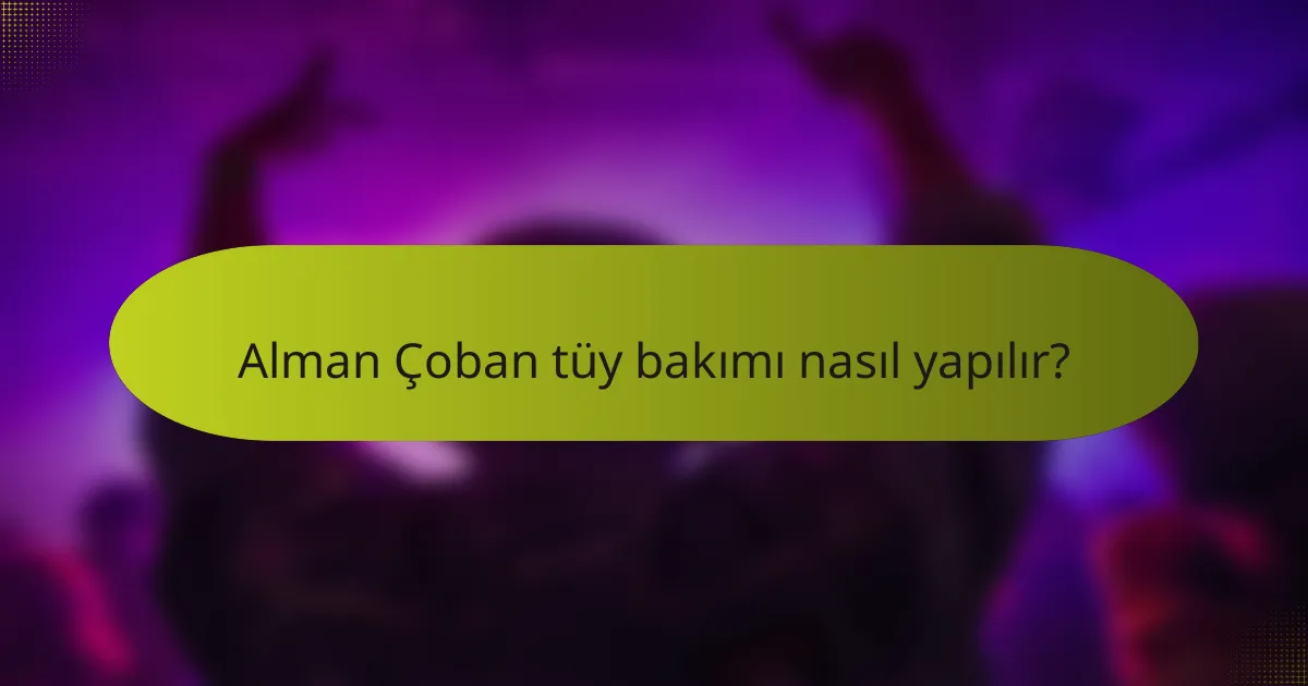 Alman Çoban tüy bakımı nasıl yapılır?