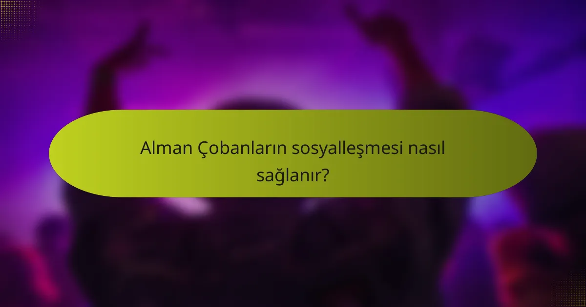 Alman Çobanların sosyalleşmesi nasıl sağlanır?