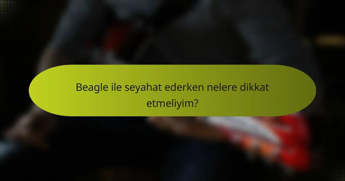 Beagle ile seyahat ederken nelere dikkat etmeliyim?