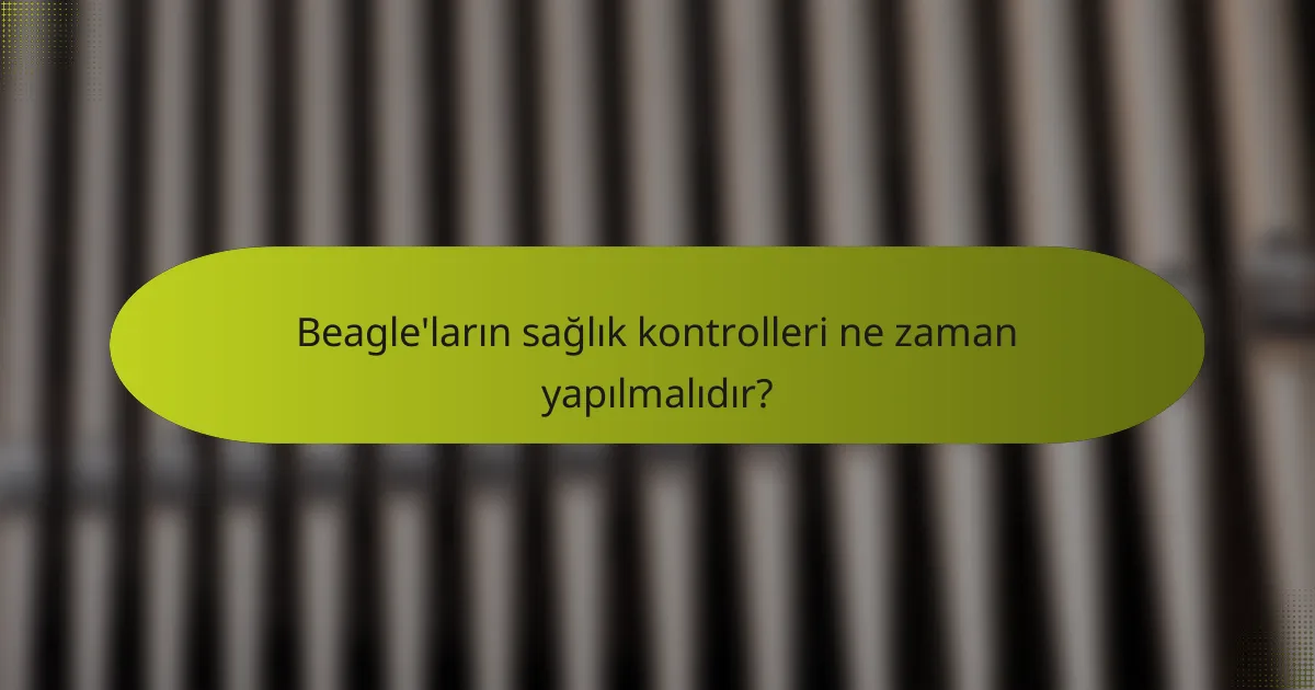 Beagle'ların sağlık kontrolleri ne zaman yapılmalıdır?