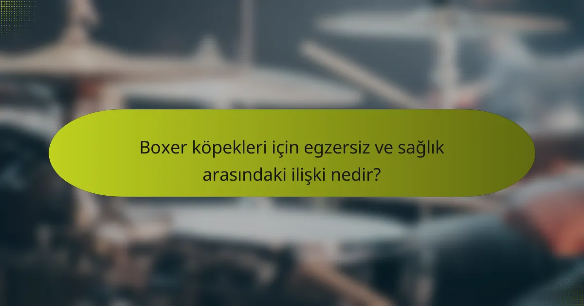 Boxer köpekleri için egzersiz ve sağlık arasındaki ilişki nedir?
