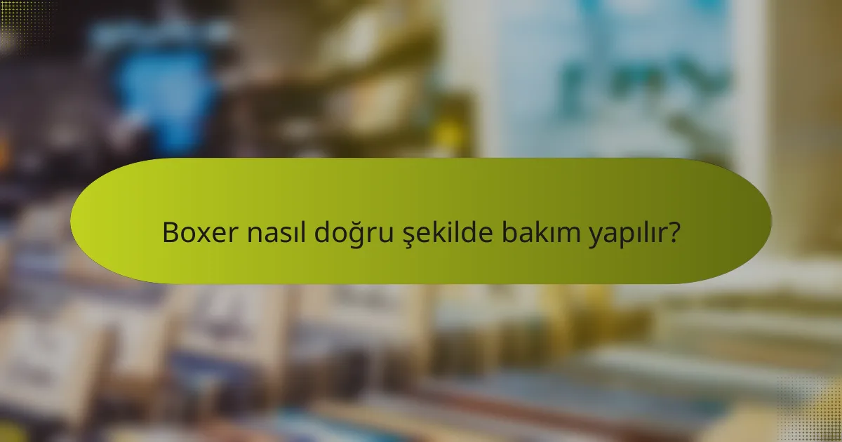 Boxer nasıl doğru şekilde bakım yapılır?