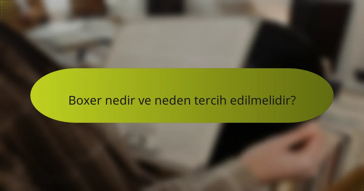 Boxer nedir ve neden tercih edilmelidir?