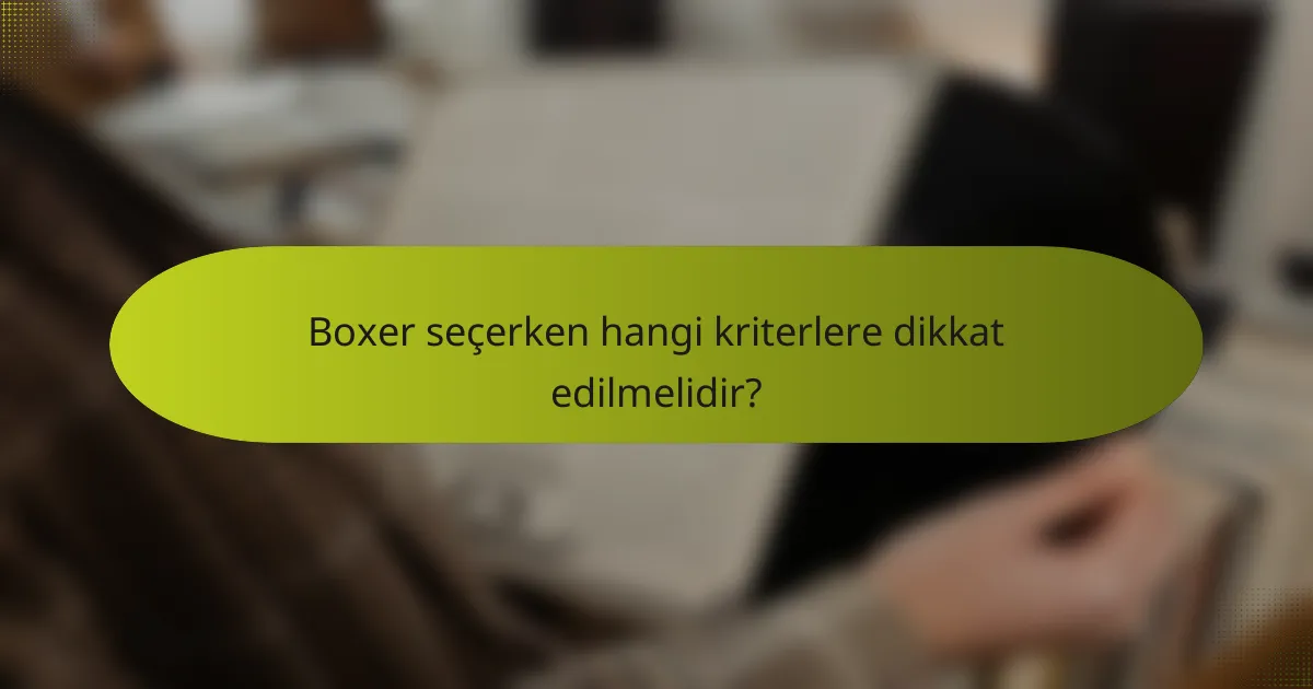 Boxer seçerken hangi kriterlere dikkat edilmelidir?