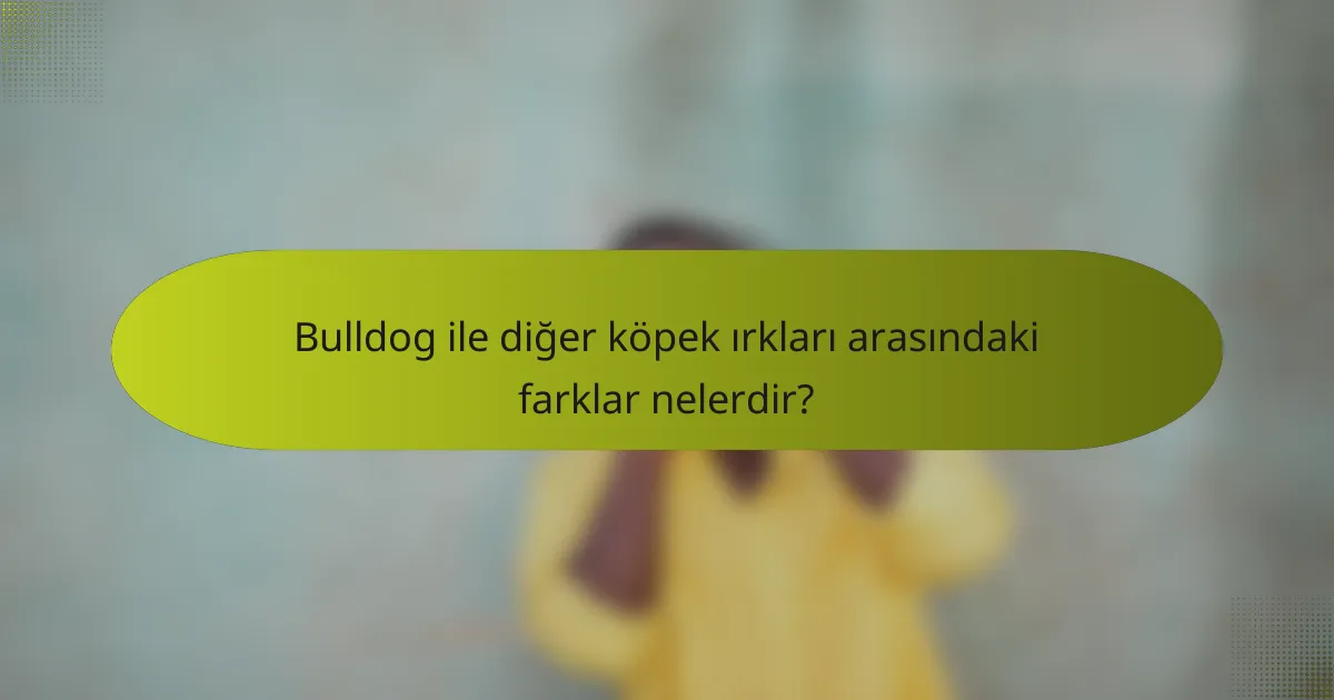 Bulldog ile diğer köpek ırkları arasındaki farklar nelerdir?