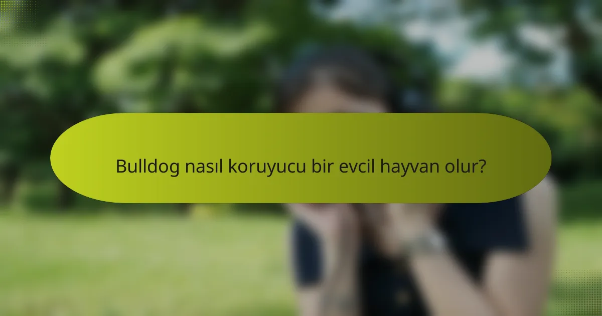 Bulldog nasıl koruyucu bir evcil hayvan olur?