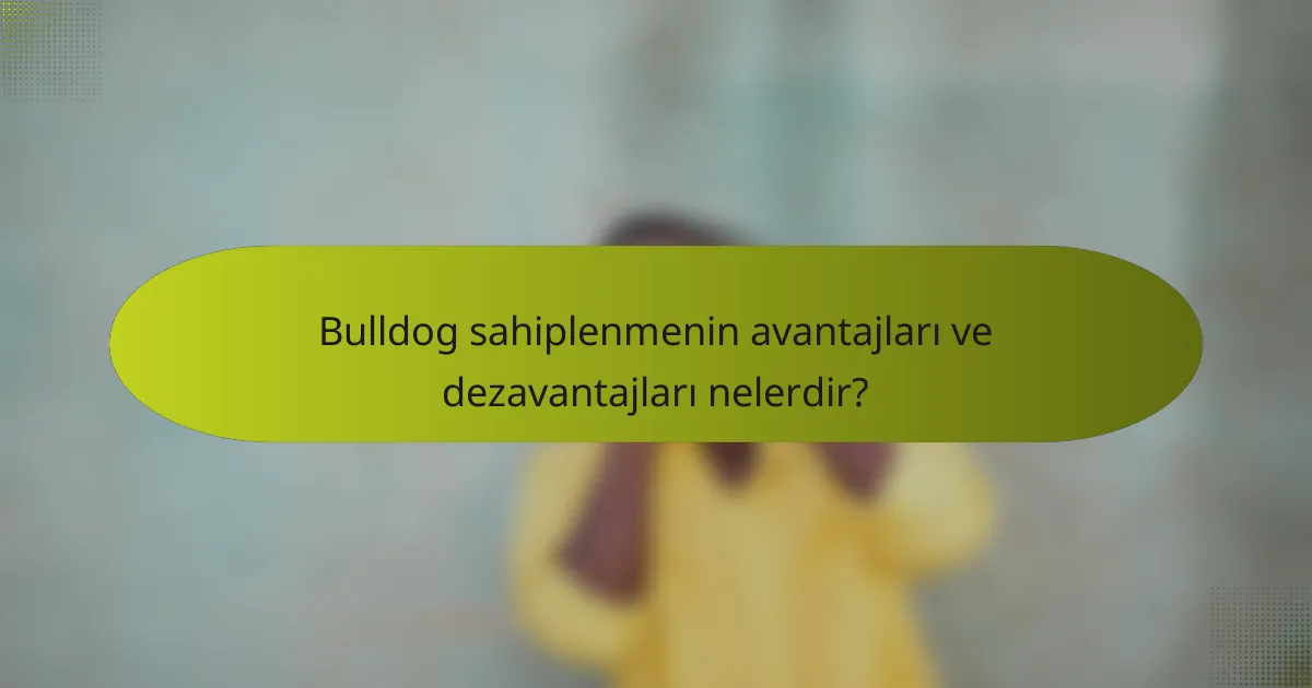 Bulldog sahiplenmenin avantajları ve dezavantajları nelerdir?