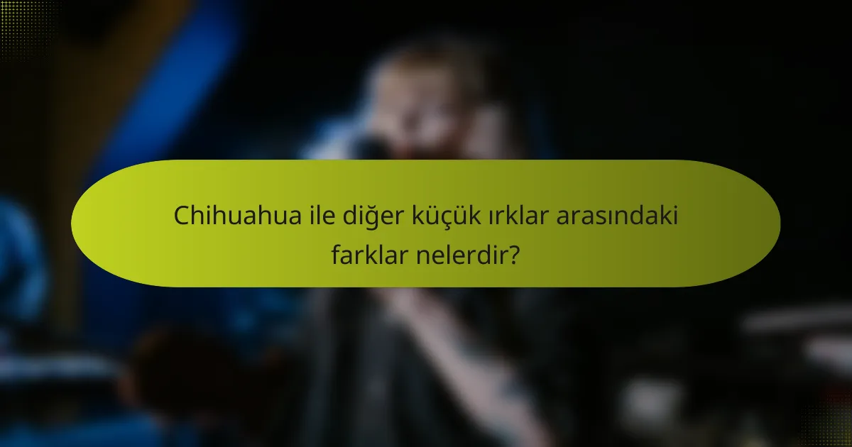 Chihuahua ile diğer küçük ırklar arasındaki farklar nelerdir?