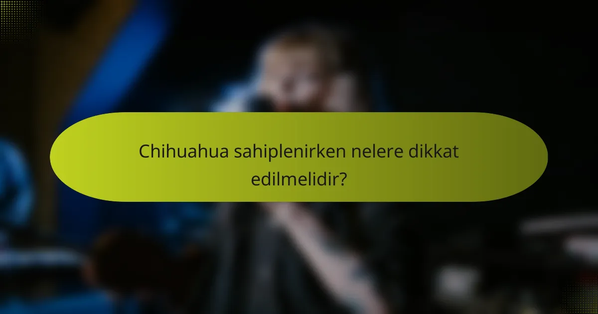 Chihuahua sahiplenirken nelere dikkat edilmelidir?