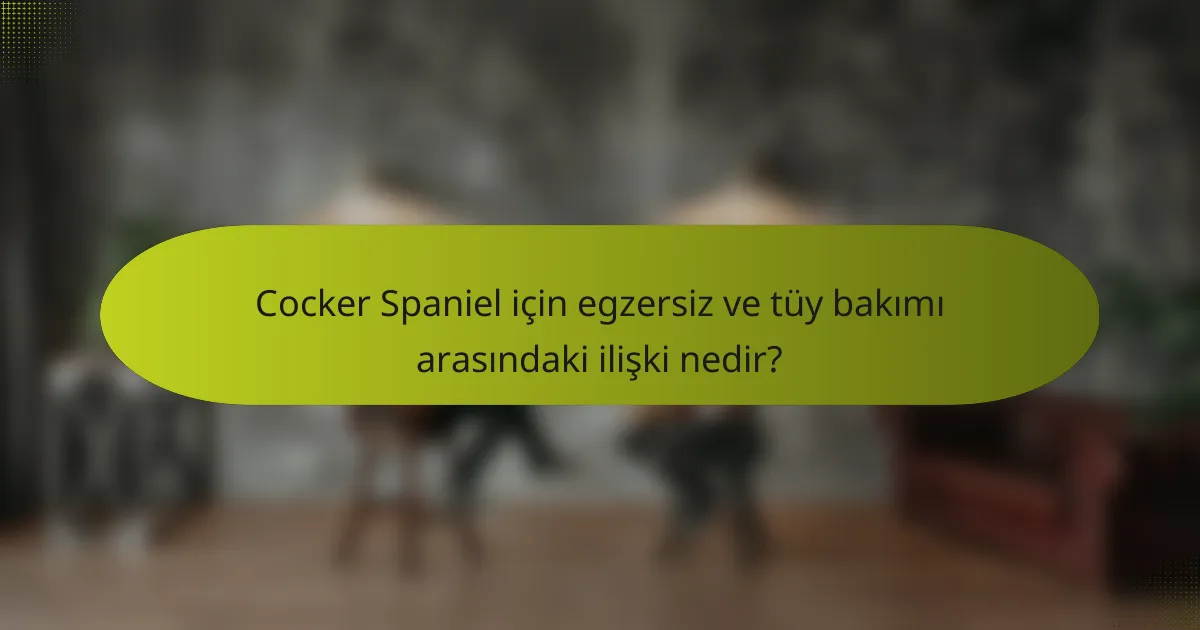 Cocker Spaniel için egzersiz ve tüy bakımı arasındaki ilişki nedir?