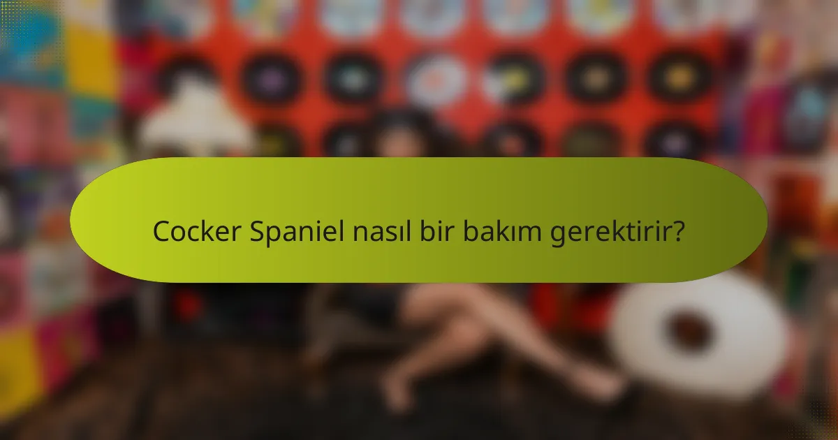 Cocker Spaniel nasıl bir bakım gerektirir?