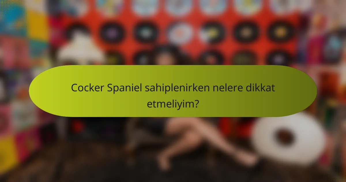 Cocker Spaniel sahiplenirken nelere dikkat etmeliyim?