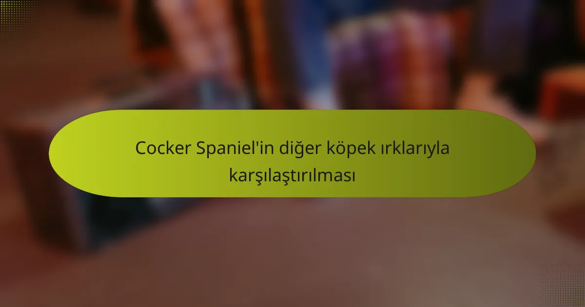 Cocker Spaniel'in diğer köpek ırklarıyla karşılaştırılması