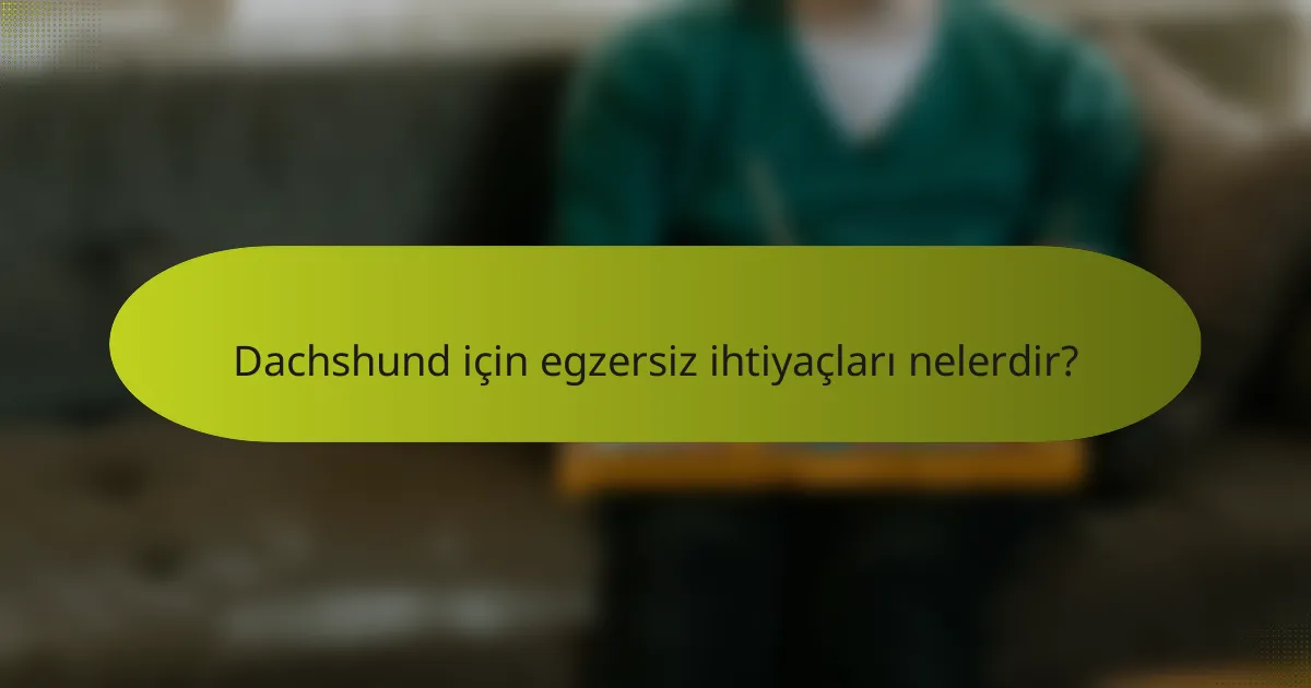 Dachshund için egzersiz ihtiyaçları nelerdir?