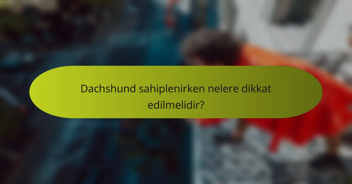 Dachshund sahiplenirken nelere dikkat edilmelidir?