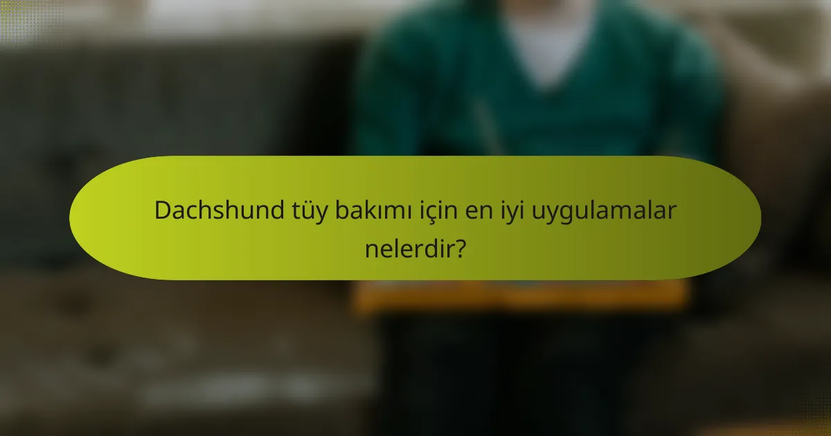 Dachshund tüy bakımı için en iyi uygulamalar nelerdir?