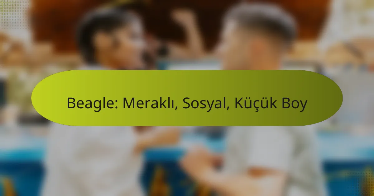 Beagle: Meraklı, Sosyal, Küçük Boy