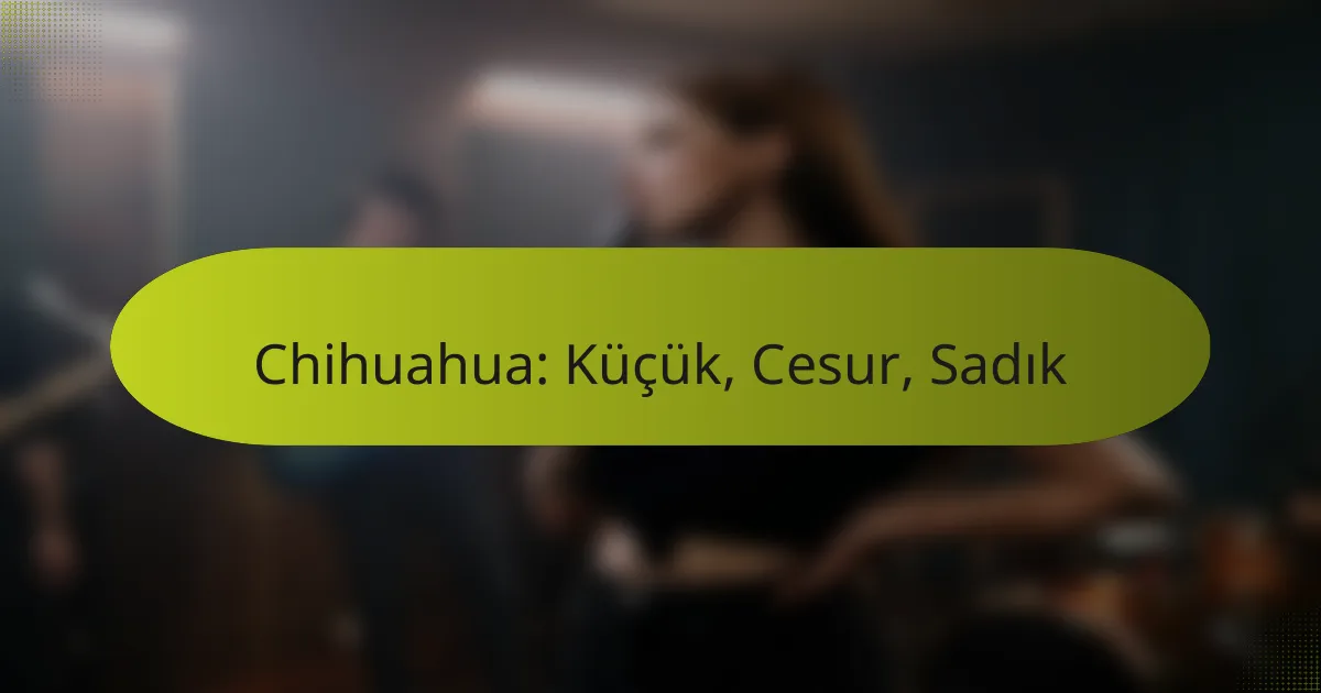 Chihuahua: Küçük, Cesur, Sadık