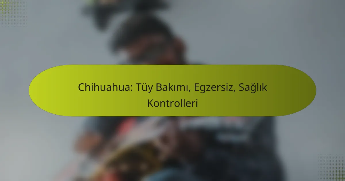 Chihuahua: Tüy Bakımı, Egzersiz, Sağlık Kontrolleri