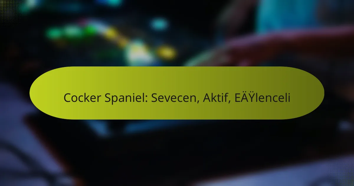 Cocker Spaniel: Sevecen, Aktif, Eğlenceli