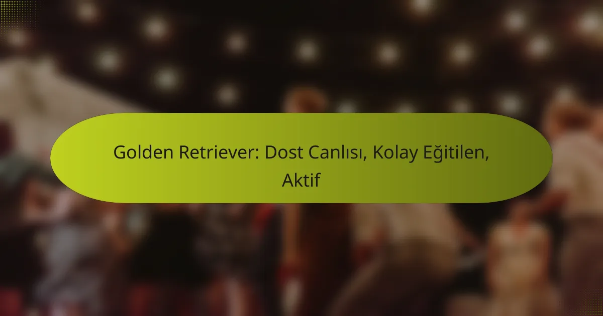 Golden Retriever: Dost Canlısı, Kolay Eğitilen, Aktif