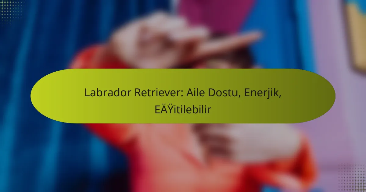 Labrador Retriever: Aile Dostu, Enerjik, Eğitilebilir