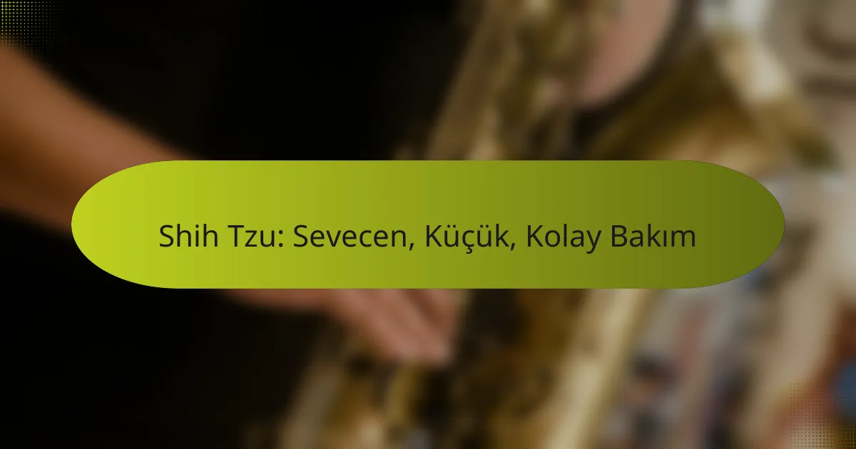 Shih Tzu: Sevecen, Küçük, Kolay Bakım