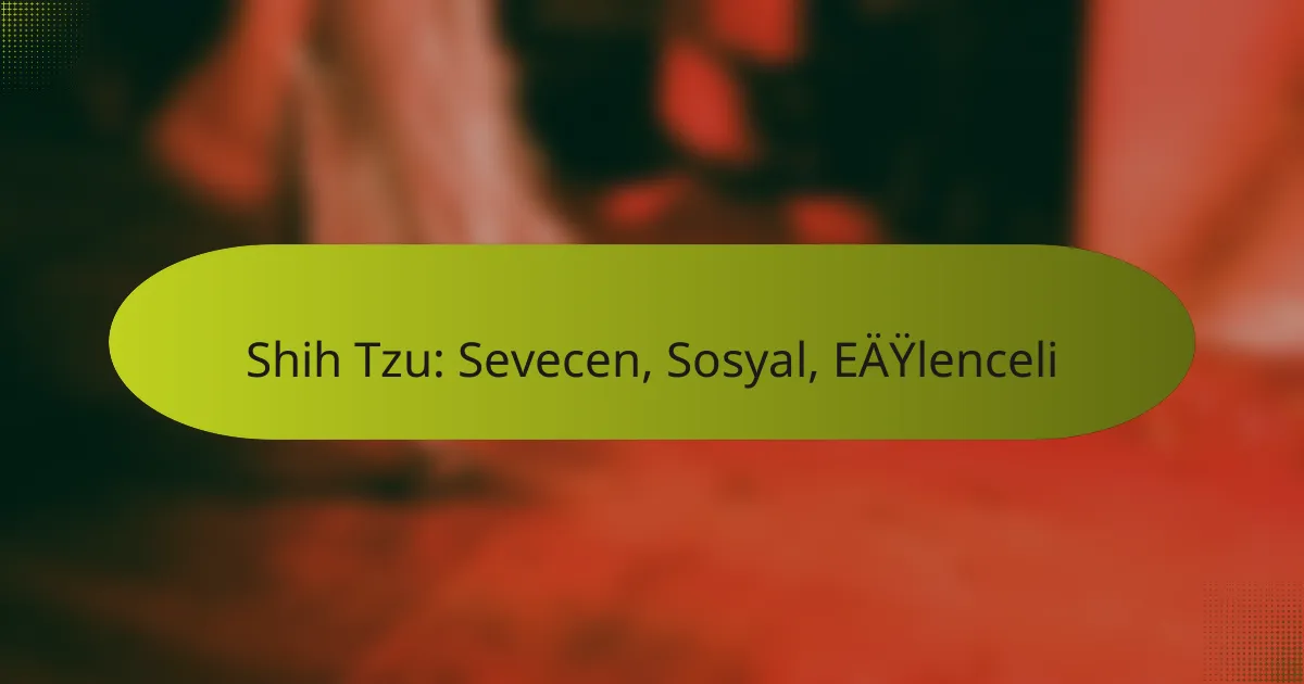 Shih Tzu: Sevecen, Sosyal, Eğlenceli