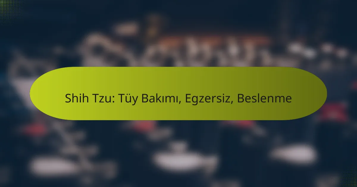 Shih Tzu: Tüy Bakımı, Egzersiz, Beslenme