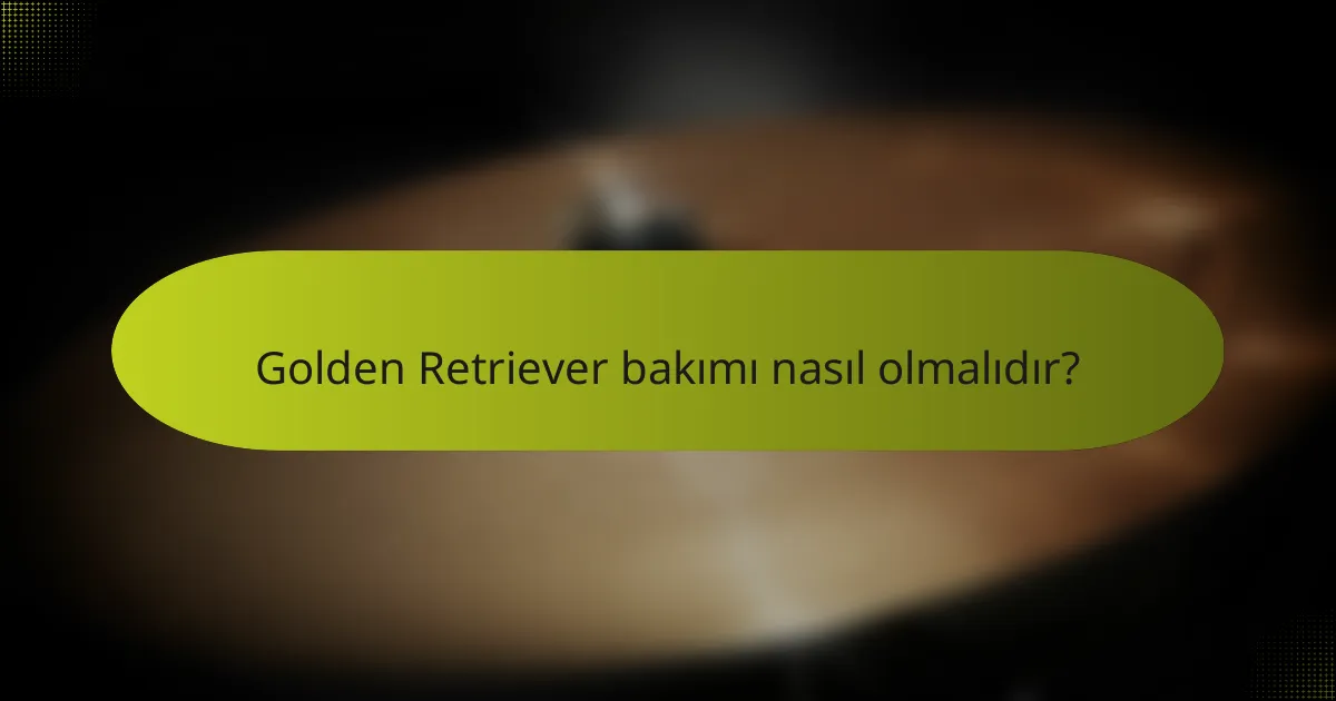 Golden Retriever bakımı nasıl olmalıdır?