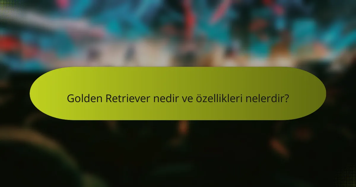 Golden Retriever nedir ve özellikleri nelerdir?