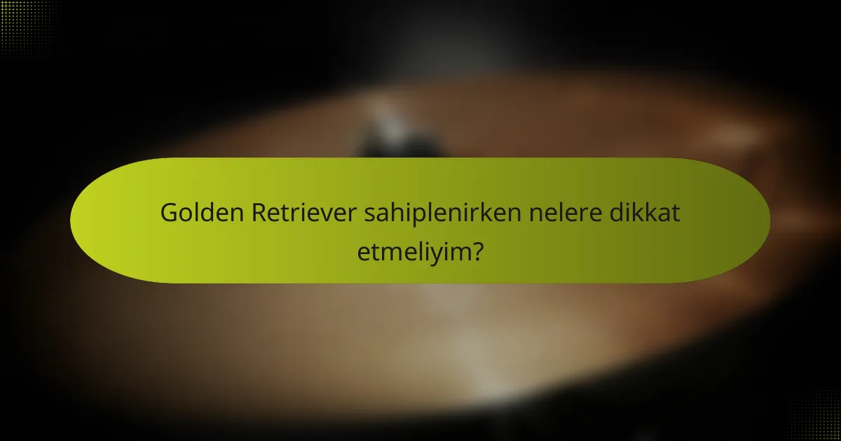 Golden Retriever sahiplenirken nelere dikkat etmeliyim?