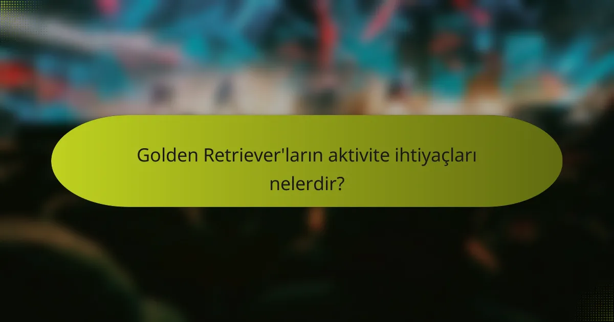 Golden Retriever'ların aktivite ihtiyaçları nelerdir?