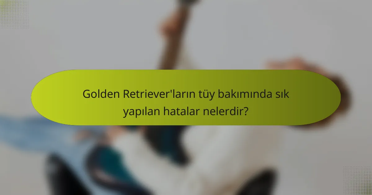 Golden Retriever'ların tüy bakımında sık yapılan hatalar nelerdir?