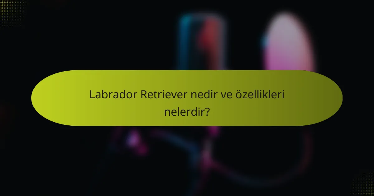 Labrador Retriever nedir ve özellikleri nelerdir?