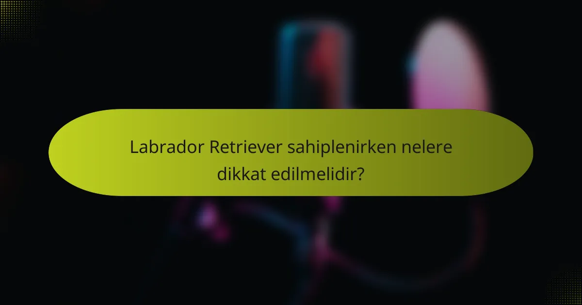 Labrador Retriever sahiplenirken nelere dikkat edilmelidir?