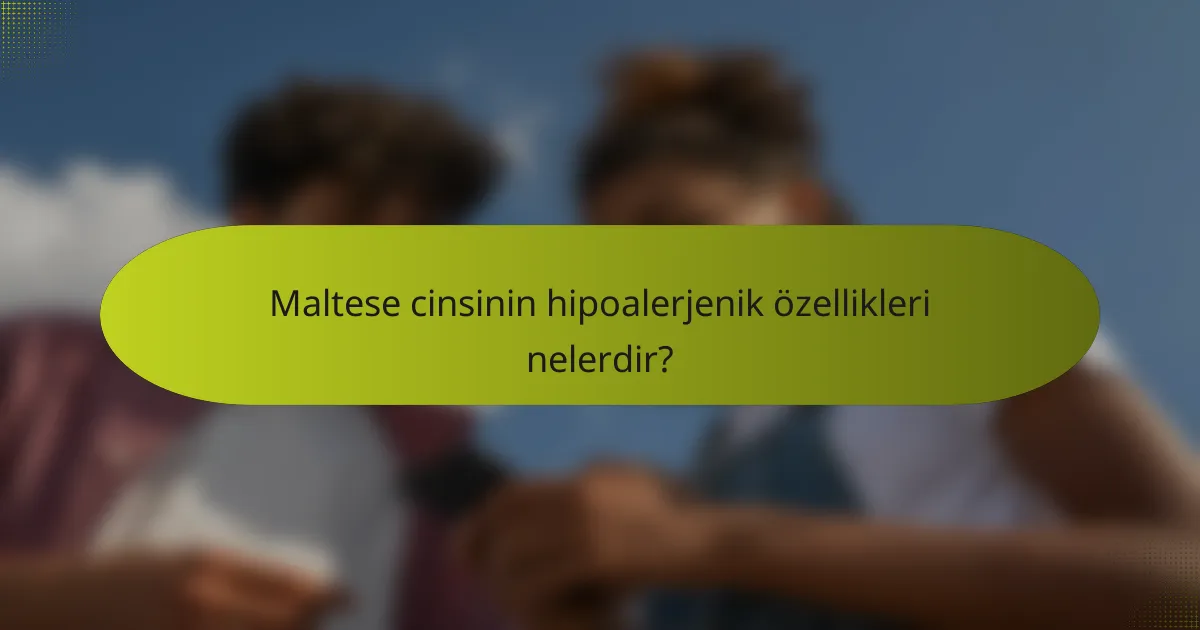 Maltese cinsinin hipoalerjenik özellikleri nelerdir?