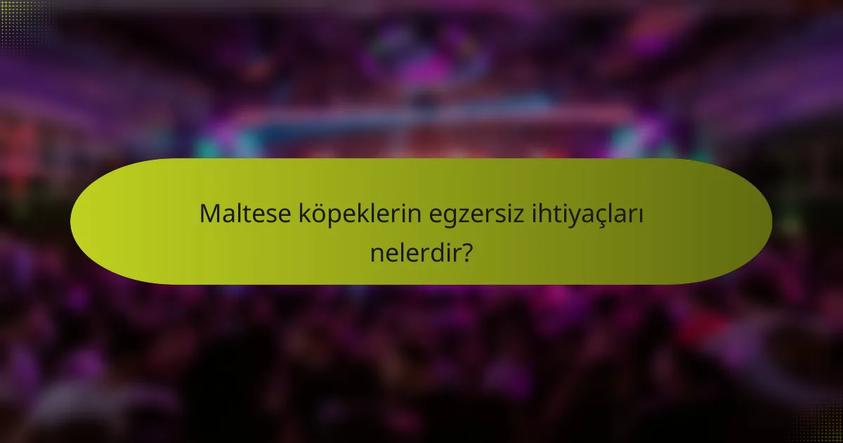 Maltese köpeklerin egzersiz ihtiyaçları nelerdir?