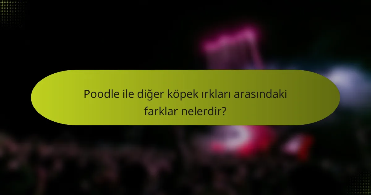 Poodle ile diğer köpek ırkları arasındaki farklar nelerdir?