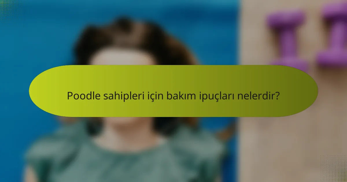 Poodle sahipleri için bakım ipuçları nelerdir?