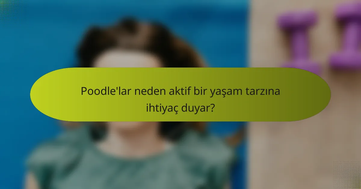 Poodle'lar neden aktif bir yaşam tarzına ihtiyaç duyar?