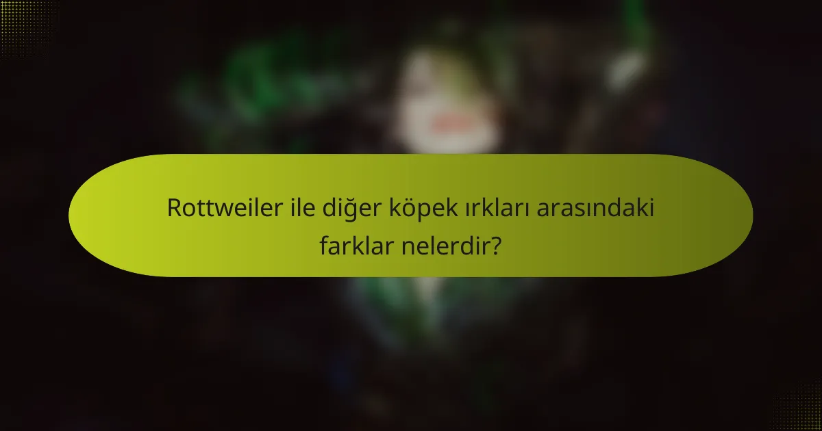 Rottweiler ile diğer köpek ırkları arasındaki farklar nelerdir?