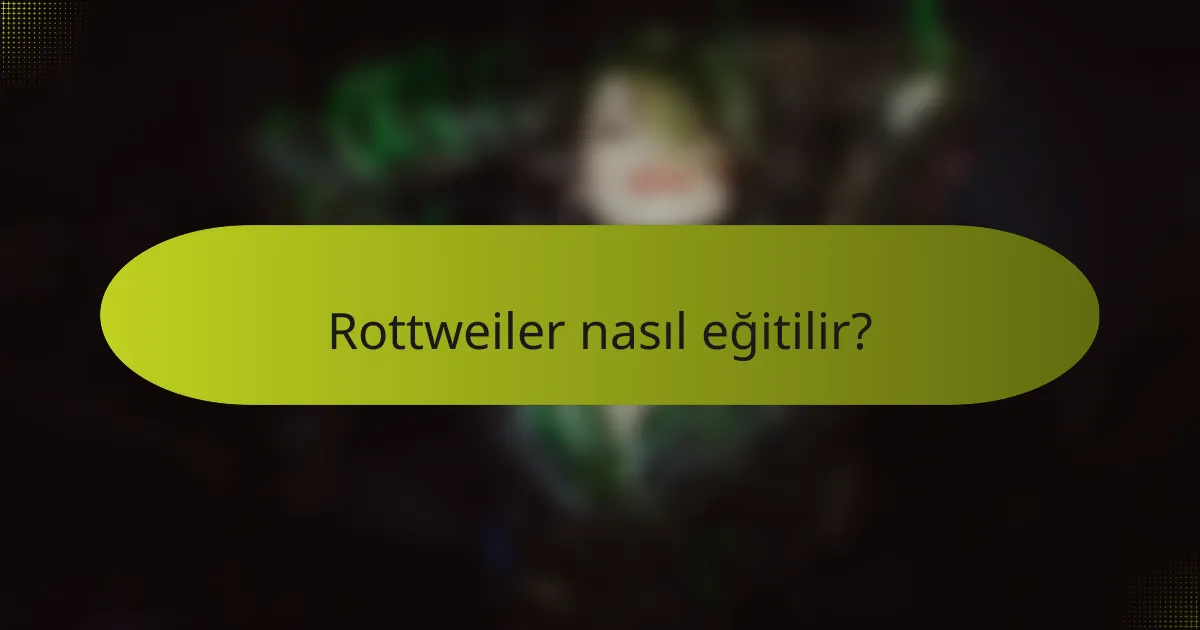 Rottweiler nasıl eğitilir?