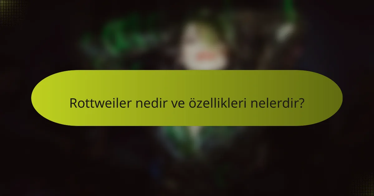 Rottweiler nedir ve özellikleri nelerdir?