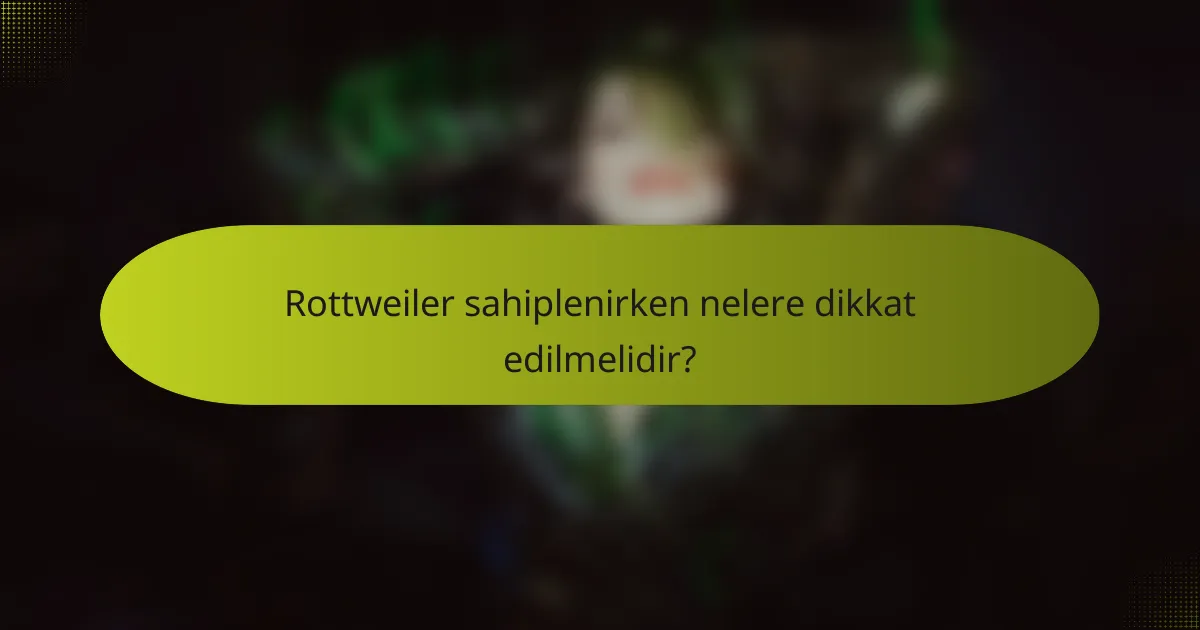 Rottweiler sahiplenirken nelere dikkat edilmelidir?