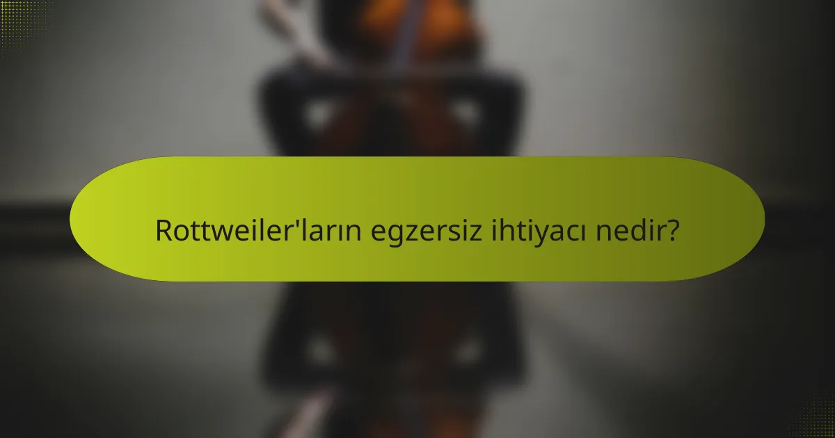 Rottweiler'ların egzersiz ihtiyacı nedir?