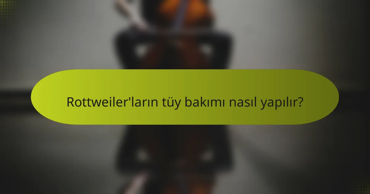 Rottweiler'ların tüy bakımı nasıl yapılır?